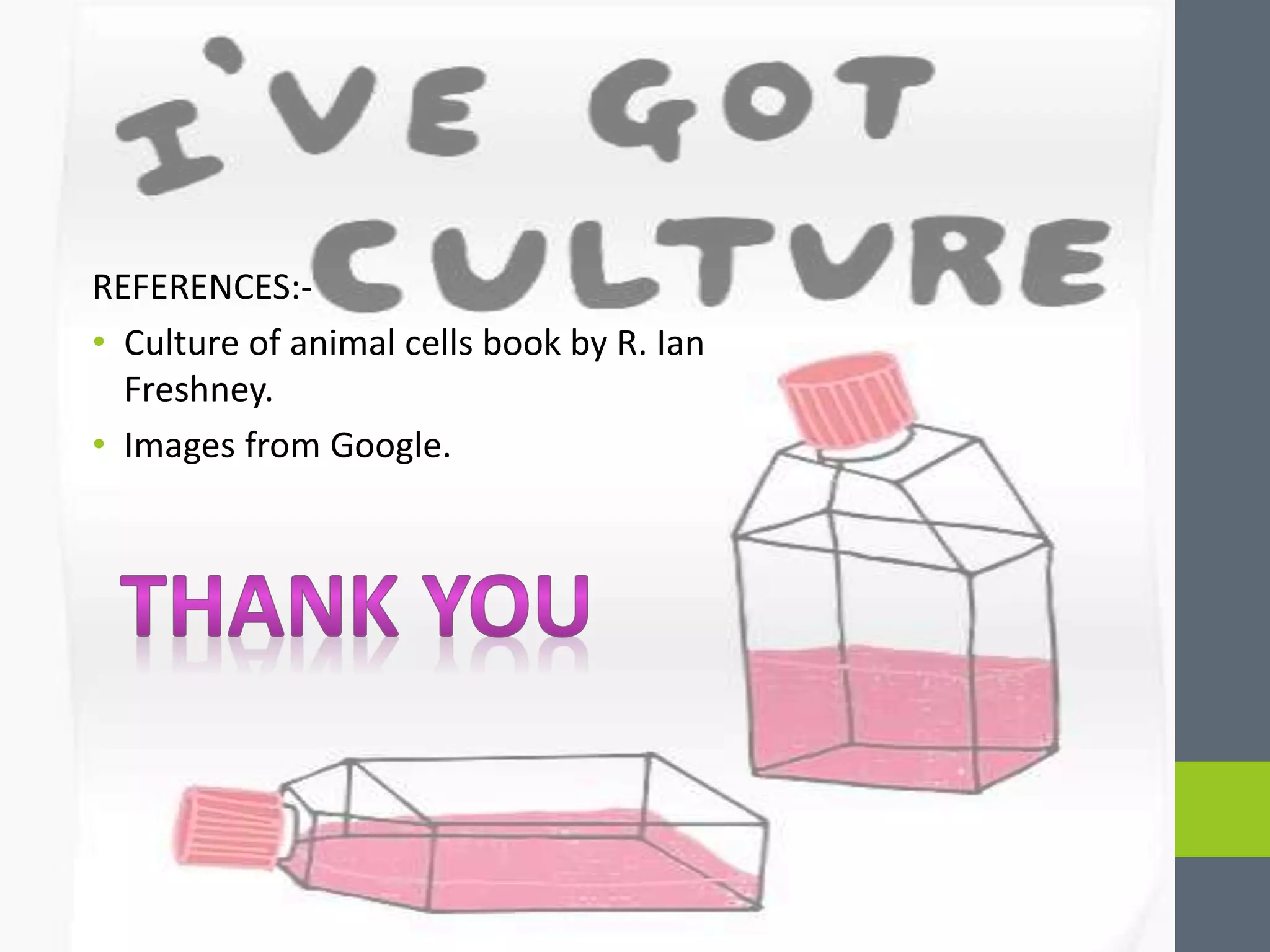 Secondary Culture pptx Secondary Culture pptx
