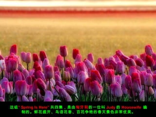 顰 Spring Is Here ļһλ Judy  Housewife 
Ƶġʻʢﻨ㡢ٻ޵Ĵ쾰ɫǳ

 