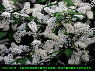 1838--1847 ꣬ʱ˹ښW޸࣬ΪWֿȵ

 