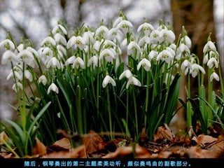 󣬸ĵڶĸ貿֡

 