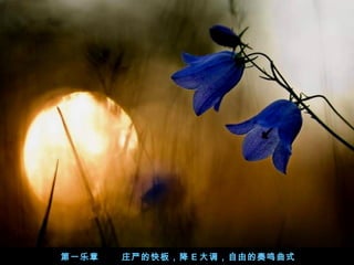 һ

ׯϵĿ壬 E ɵʽ

 