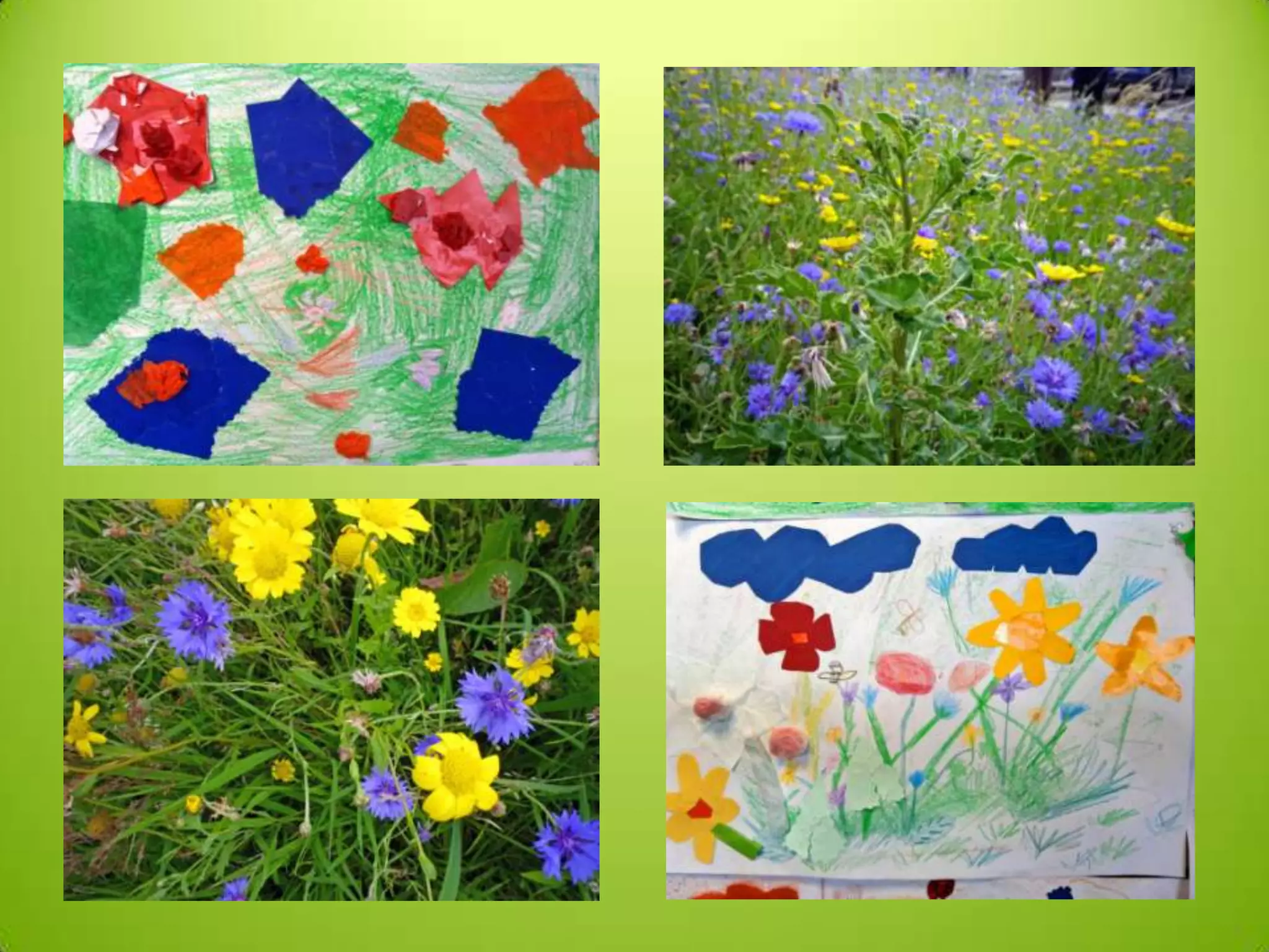 P3 4 meadow art