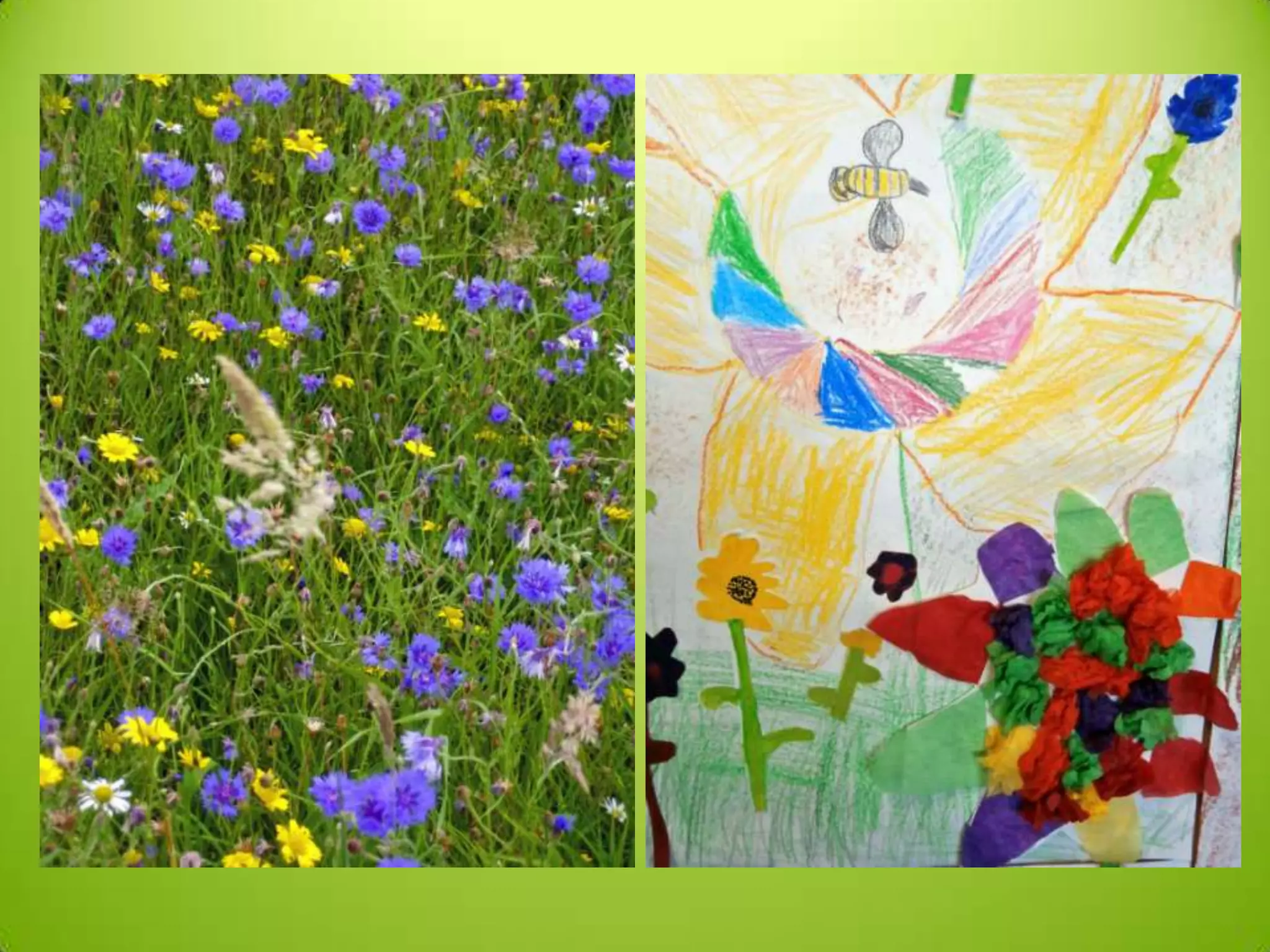 P3 4 meadow art