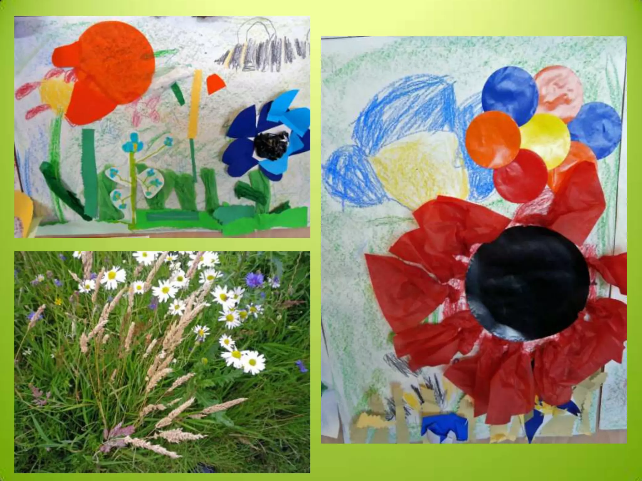 P3 4 meadow art