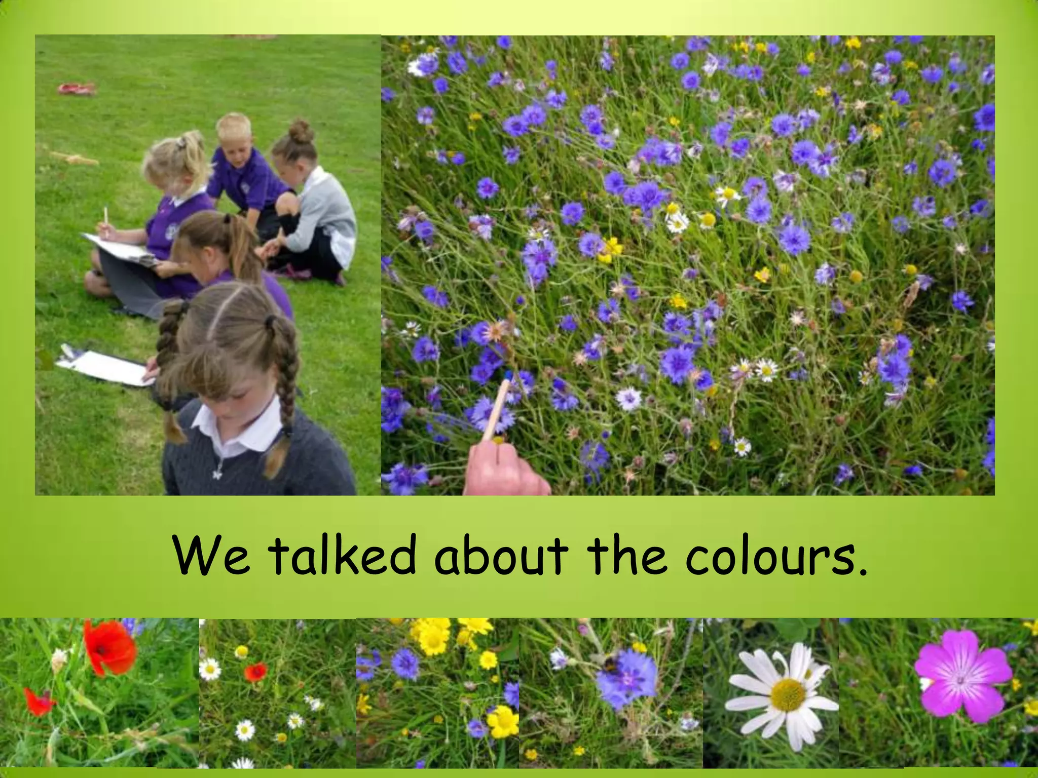 We talked about the colours.