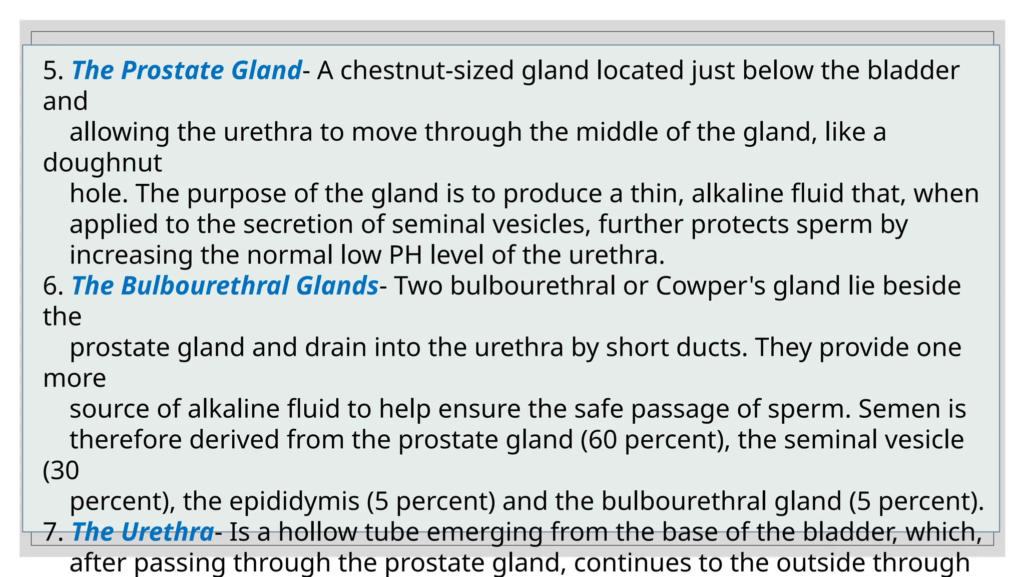 POWERPOINT -REPRODUCTIVE SYSTEM | PPTX