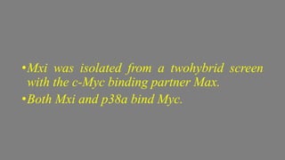 •Mxi was isolated from a twohybrid screen
with the c-Myc binding partner Max.
•Both Mxi and p38a bind Myc.
 