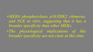•MEK6 phosphorylates p38/ERK2 chimeras,
and NLK in vitro, suggesting that it has a
broader specificity than other MEKs.
•The physiological implications of this
broader specificity are not clear at this time.
 