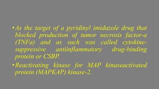 •As the target of a pyridinyl imidazole drug that
blocked production of tumor necrosis factor-a
(TNFa) and as such was called cytokine-
suppressive antiinflammatory drug-binding
protein or CSBP.
•Reactivating kinase for MAP kinaseactivated
protein (MAPKAP) kinase-2.
 
