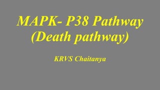 MAPK- P38 Pathway
(Death pathway)
KRVS Chaitanya
 