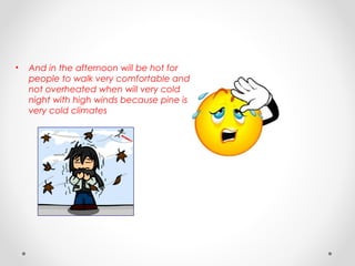 • And in the afternoon will be hot for
people to walk very comfortable and
not overheated when will very cold
night with high winds because pine is
very cold climates
 