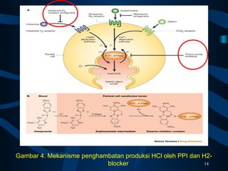Gambar 4. Mekanisme penghambatan produksi HCl oleh PPI dan H2-
blocker 14
 
