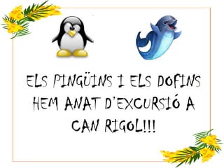 ELS PINGÜINS I ELS DOFINS
HEM ANAT D’EXCURSIÓ A
CAN RIGOL!!!
 