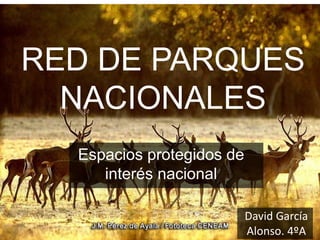 RED DE PARQUES
NACIONALES
Espacios protegidos de
interés nacional
David García
Alonso. 4ºA
 