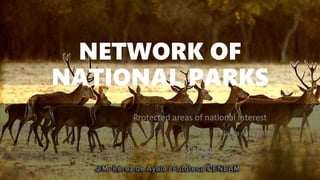 NETWORK OF
NATIONAL PARKS
Protected areas of national interest
Blanca del Castillo
4 ESO B
 