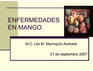 ENFERMEDADES
EN MANGO
M.C. Lila M. Marroquín Andrade
21 de septiembre 2007
 