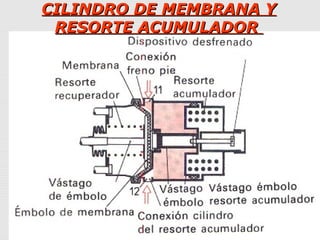 CILINDRO DE MEMBRANA YCILINDRO DE MEMBRANA Y
RESORTE ACUMULADORRESORTE ACUMULADOR
 