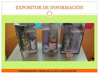 EXPOSITOR DE INFORMACIÓN

EXPERIMENTO: ¿BUSCAN LA LUZ LAS PLANTAS?

 