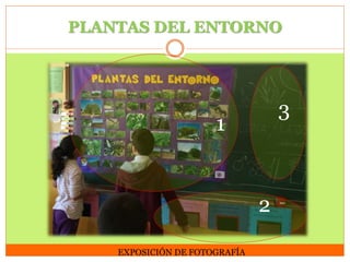PLANTAS DEL ENTORNO

3

1

2
EXPOSICIÓN DE FOTOGRAFÍA

 