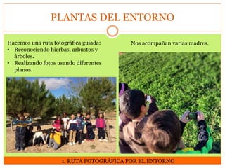 PLANTAS DEL ENTORNO
Hacemos una ruta fotográfica guiada:
• Reconociendo hierbas, arbustos y
árboles.
• Realizando fotos usando diferentes
planos.

Nos acompañan varias madres.

1. RUTA FOTOGRÁFICA POR EL ENTORNO

 