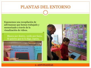 PLANTAS DEL ENTORNO

Exponemos una recopilación de
adivinanzas que hemos trabajado y
memorizado a través de la
visualización de vídeos.
Blanca por dentro, verde por fuera.
Si quieres que te lo diga, espera.

2. ADIVINANZAS

 