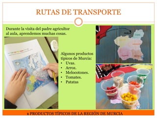 RUTAS DE TRANSPORTE
Durante la visita del padre agricultor
al aula, aprendemos muchas cosas.

Algunos productos
típicos de Murcia:
• Uvas.
• Arroz.
• Melocotones.
• Tomates.
• Patatas

1 PRODUCTOS TÍPICOS DE LA REGIÓN DE MURCIA

 