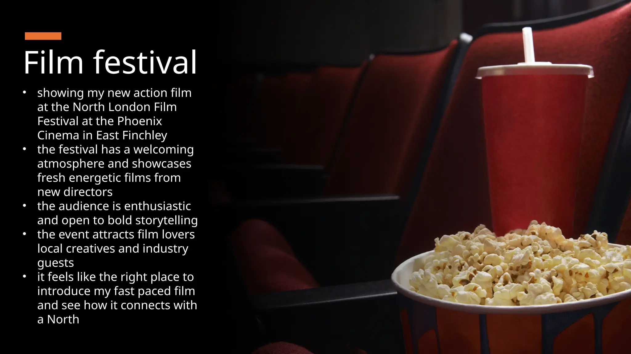 Film festival
• showing my new action film
at the North London Film
Festival at the Phoenix
Cinema in East Finchley
• the festival has a welcoming
atmosphere and showcases
fresh energetic films from
new directors
• the audience is enthusiastic
and open to bold storytelling
• the event attracts film lovers
local creatives and industry
guests
• it feels like the right place to
introduce my fast paced film
and see how it connects with
a North London crowd
 