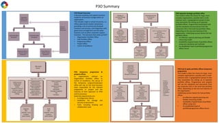 Comprehensive Guide to P3O Governance and Implementation | PDF