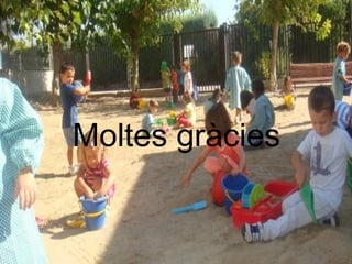 Moltes gràcies 