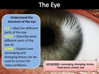 KEYWORDS: converging, diverging, lenses,
Focal point, virtual, real
Understand the
structure of the eye
ALL – label the different
parts of the eye
MOST – Describe what
different parts of the
eye do
SOME – Explain how
converging and
diverging lenses can be
used to correct for
vision problems
 