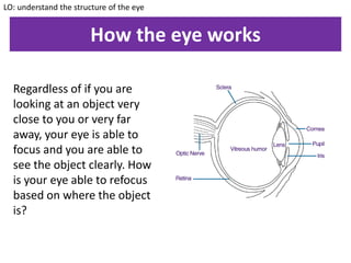 How the eye works
Regardless of if you are
looking at an object very
close to you or very far
away, your eye is able to
focus and you are able to
see the object clearly. How
is your eye able to refocus
based on where the object
is?
LO: understand the structure of the eye
 