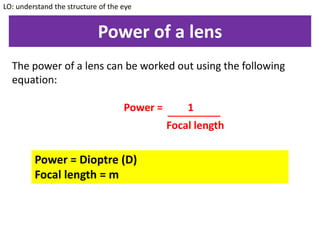 Power of a lens
The power of a lens can be worked out using the following
equation:
Power = 1
LO: understand the structure of the eye
Focal length
Power = Dioptre (D)
Focal length = m
 