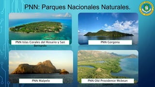 PNN: Parques Nacionales Naturales.
PNN Islas Corales del Rosario y San
Bernardo
PNN Gorgona
PNN Old Providence Mcbean
Lagoon
PNN Malpelo
 