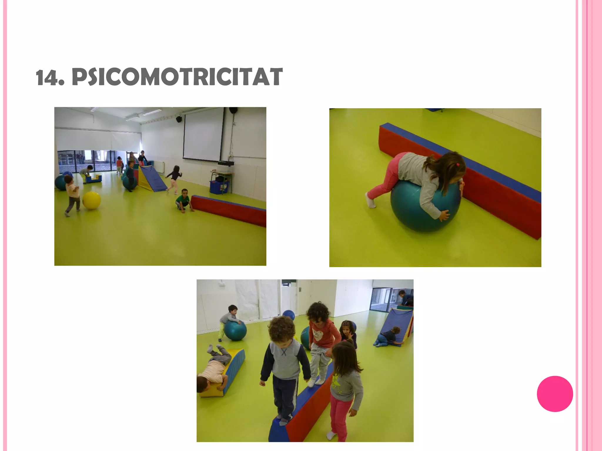 14. PSICOMOTRICITAT
 
