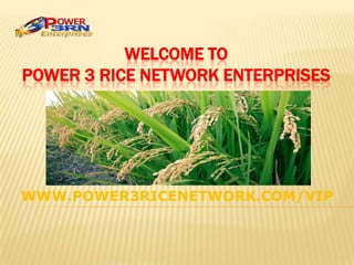 WELCOME TO
POWER 3 RICE NETWORK ENTERPRISES
WWW.POWER3RICENETWORK.COM/VIP
 