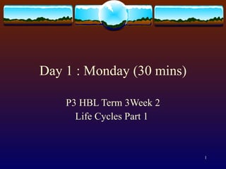 Day 1 : Monday (30 mins)

    P3 HBL Term 3Week 2
      Life Cycles Part 1


                           1
 