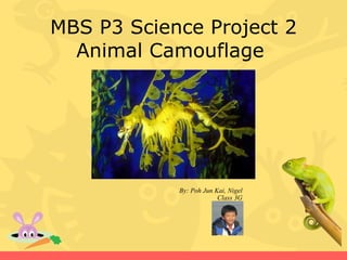 MBS P3 Science Project 2
  Animal Camouflage




            By: Poh Jun Kai, Nigel
                         Class 3G
 