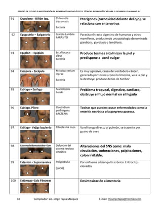 CENTRO DE ESTUDIO E INVESTIGACIÓN DE BIOMAGNETISMO HOLÍSTICO Y TÉCNICAS BIOENERGÉTICAS PARA EL DESARROLLO HUMANO A.C.
10 Compilador: Lic. Jorge Tapia Márquez E-mail: mnjorgetapia@hotmail.com
91 Duodeno - Riñón Izq. Chlamydia
tracomatis
Bacteria
Pterigones (carnosidad delante del ojo), se
relaciona con enterovirus
92 Epigastrio – Epigastrio Giardia Lamblia
PARASITO
Parasita el tracto digestivo de humanos y otros
mamíferos, produciendo una patología denominada
giardiosis, giardiasis o lambliasis.
93 Epiplón – Epiplón Estafilococo
albus
Bacteria
Produce toxinas alcalinizan la piel y
predispone a acné vulgar
94 Escápula – Escápula Mycobacterium
leprae
Bacteria
Es muy agresivo, causa del verdadero cáncer,
generado por toxinas como la limosina, va a la piel y
la destruye, produce dedos de tambor
95 Esófago – Esófago Fasciolopsis
burski
Problema traqueal, digestivo, cardiaco,
obstruye el flujo normal en el hígado
96 Esófago .Píloro Clostridium
perfringens
BACTERIA
Toxinas que pueden causar enfermedades como la
enteritis necrótica o la gangrena gaseosa.
97 Esófago - Vejiga Izquierda Citoplasma caps. Va el hongo directo al pulmón, se trasmite por
guano de aves
98 Esternocleidomastoideo–Ecm Disfunción del
sistema nervioso
simpático
Alteraciones del SNS como: mala
circulación, sudoraciones, palpitaciones,
colon irritable.
99 Esternón - Suprarrenales Poliglobulia
(Lucio)
Por enfisema o bronquitis crónica. Eritrocitos
elevados
100 Estómago–Cola Páncreas Desintoxicación alimentaria
 