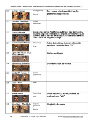 CENTRO DE ESTUDIO E INVESTIGACIÓN DE BIOMAGNETISMO HOLÍSTICO Y TÉCNICAS BIOENERGÉTICAS PARA EL DESARROLLO HUMANO A.C.
14 Compilador: Lic. Jorge Tapia Márquez E-mail: mnjorgetapia@hotmail.com
131 Laringe – Laringe Bacilo pertusis
Bacteria
Tos crónica mientras está el bacilo,
problemas respiratorios
132 Latisimus – Latisimus Yersinia
pneumoniae
133 Lengua – Lengua Escabiosis o sama. Problemas cutáneos tipo dermatitis,
causa la alopecia ariata (se cae el pelo por mechones), se
trasmite por el pelo de animales al asociarse con otro da
falso cáncer de lengua o laringe
134 Ligamento Hepático-Riñón Der Adenovirus
Virus
Fiebre, distensión de abdomen, inflamación
ganglionar y glandular. Falso “VIH”
135 Ligamento interno abajo
rótula – Maléolo
Disfunción hígado
136 Lóbulo posterior Hígado–Riñón Desintoxicación de toxinas
137 Lumbar 4ª – Lumbar 4ª Nisseria
gonorrhoeae
138 Lunar – Riñón Hanta
139 Malar- Malar Enterovirus
Virus
Dolor de cabeza, mareo, diarrea, se
confunde con “VIH”
140 Mandíbula – Mandíbula Neisseria
gonorreae
Bacteria
Gingivitis, Gonorrea
 