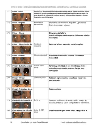 CENTRO DE ESTUDIO E INVESTIGACIÓN DE BIOMAGNETISMO HOLÍSTICO Y TÉCNICAS BIOENERGÉTICAS PARA EL DESARROLLO HUMANO A.C.
18 Compilador: Lic. Jorge Tapia Márquez E-mail: mnjorgetapia@hotmail.com
171 Píloro – Ano Hantavirus. Síntomas iníciales muy similares a los de la gripe (fiebre, escalofríos, dolores
musculares) La enfermedad empeora rápidamente y lleva a insuficiencia respiratoria. Tos
seca, Sensación de indisposición (malestar general), Dolor de cabeza, Nauseas y vómitos,
Respiración superficial y rápida
172 Píloro – Hígado Enterovirus
vermicularis
Enterobios vermiculares. Hepatitis J, prueba de
Scott, Iavar ropa y sabanas
173 Píloro – Píloro Disfunción del píloro
Intoxicación por medicamentos. Niños con vómito
recurrente
174 Píloro - Riñón Izquierdo Amibiasis
intestinal
Sabor de la boca a vomito, metal, muy feo
175 Píloro – Uréter Micelio intestinal Problemas intestinales severos. Diarrea con
mucosidad
176 Pineal - Bulbo Raquídeo Guillan barre
Virus
Parálisis y debilidad de los miembros y de los
músculos respiratorios, mareos, fatiga, muy
contagioso
177 Pineal – Pineal Disfunción pineal Actúa en pigmentación, sexualidad y sobre las
suprarrenales
178 Pineal– Próstata o útero Psico-emocional
179 Piso Orbital-Piso Orbital Orí virus Ocasiona problemas de visión, acidez en ojo. Se
activa cuando hay luz de computadoras o similares.
180 Pleura derecha- Hígado Única de ADN
Virus
Una hepatitis por ADN virus. Hepatitis B
 