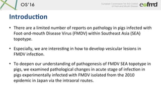 •  There	are	a	limited	number	of	reports	on	pathology	in	pigs	infected	with	
Foot-and-mouth	Disease	Virus	(FMDV)	within	So...