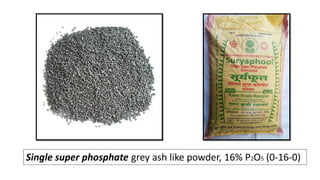 Single super phosphate grey ash like powder, 16% P2O5 (0-16-0)
 