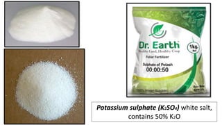 Potassium sulphate (K2SO4) white salt,
contains 50% K2O
 