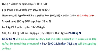 46 kg P will be supplied by= 100 kg DAP
1 kg P will be supplied by= 100/46 kg DAP
Therefore, 60 kg of P will be supplied by= (100/46) × 60 kg DAP= 130.43 kg DAP
As we know, 100 kg DAP supplies= 18 kg N
So, 1 kg DAP will supply= 18/100 kg N
And, 130.43 kg DAP will supply= (18/100) × 130.43 kg N= 23.48 kg N
23.48 kg N will be supplied by DAP, but the total amount of N required is 100
kg/ha. So, remaining amount of N i.e.= (100-23.48) kg= 76.52 kg will be supplied
by Urea
 