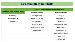 Essential plant nutrients
Supplied from air and water
Supplied from soil and fertilizer sources
Macronutrients Micronutrients
Carbon (C) Nitrogen (N) Zinc (Zn)
Hydrogen (H) Phosphorus (P) Copper (Cu)
Oxygen (O) Potassium (K) Iron (Fe)
Calcium (Ca) Manganese (Mn)
Magnesium (Mg) Boron (B)
Sulphur (S) Chlorine (Cl)
Molybdenum (Mo)
Cobalt (Co)
Nickel (Ni)
 