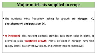 Major nutrients supplied to crops
• The nutrients most frequently lacking for growth are nitrogen (N),
phosphorus (P), and potassium (K).
• N (Nitrogen)- This nutrient element provides dark green color in plants. It
promotes rapid vegetative growth. Plants deficient in nitrogen have thin
spindly stems, pale or yellow foliage, and smaller than normal leaves.
 