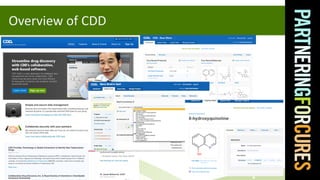 Overview of CDD 