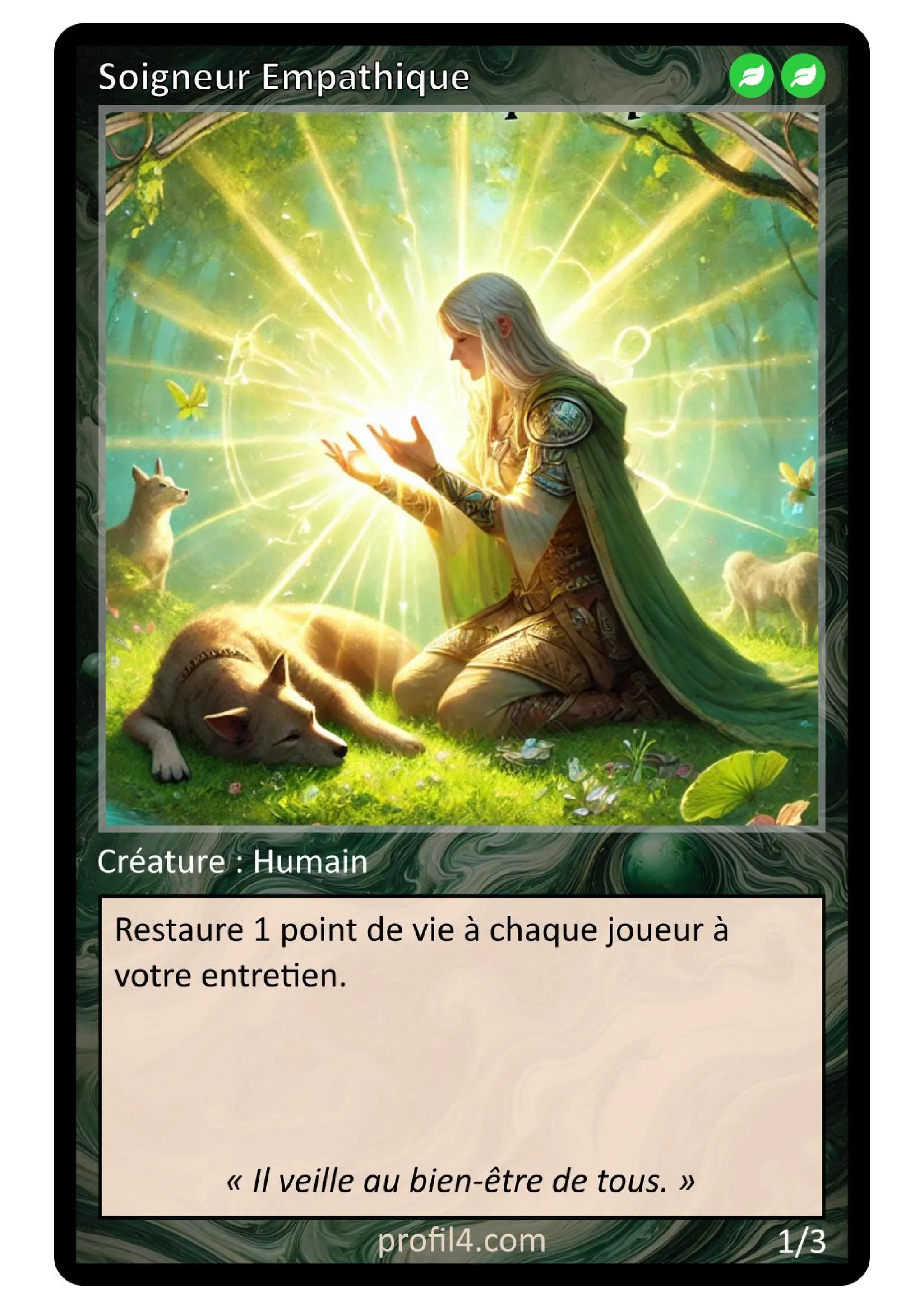 Jeu de 205 cartes DISC - Le rassemblement