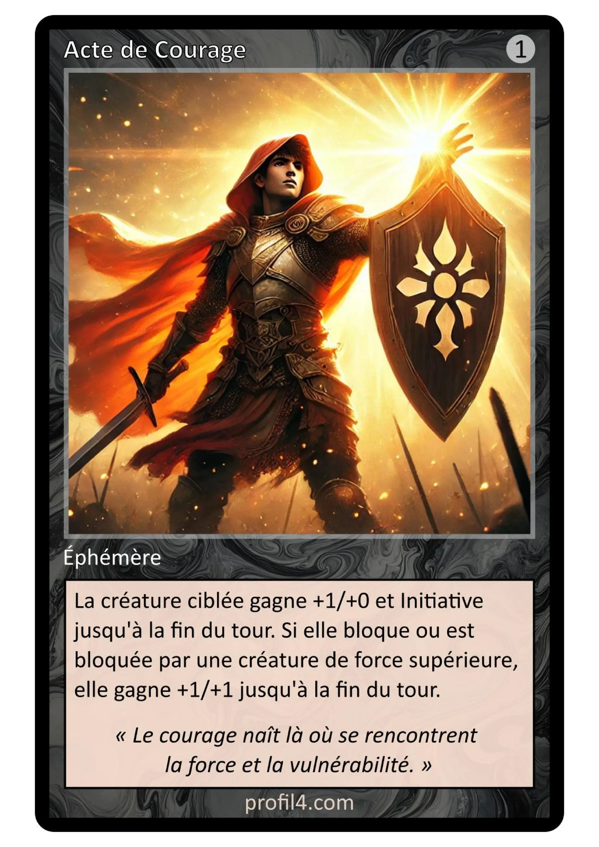 Jeu de 205 cartes DISC - Le rassemblement