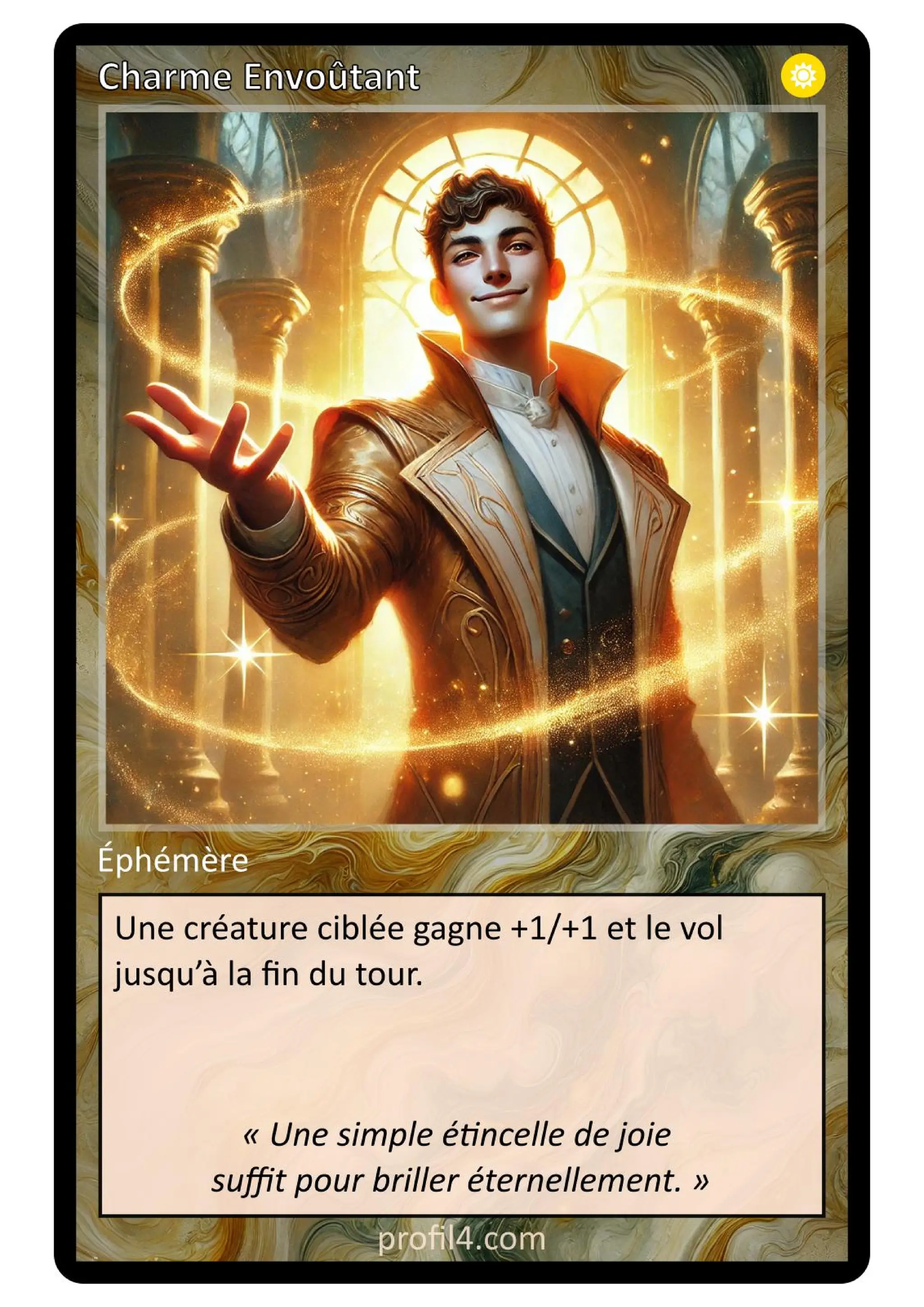 Jeu de 205 cartes DISC - Le rassemblement